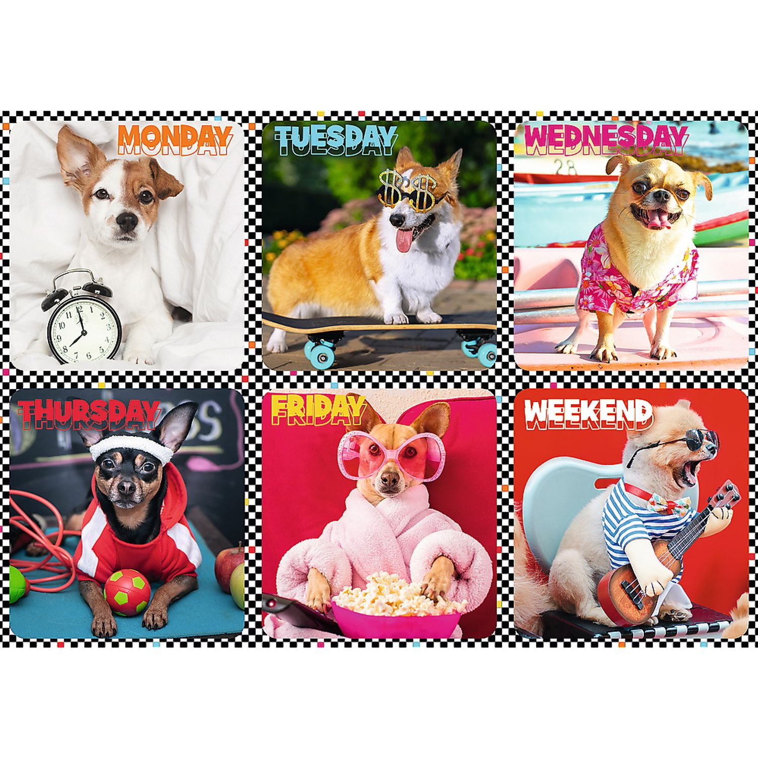 Puzzle Trefl - Cateii fericiti, 200 piese fotografia produsului View 2 L
