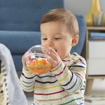FISHER PRICE GLOB CU ANIMALUTE - VIDRA fotografia produsului View 3 S