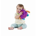 MONSTRULET MUZICAL FISHER PRICE fotografia produsului View 4 S