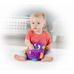 MONSTRULET MUZICAL FISHER PRICE fotografia produsului View 3 S