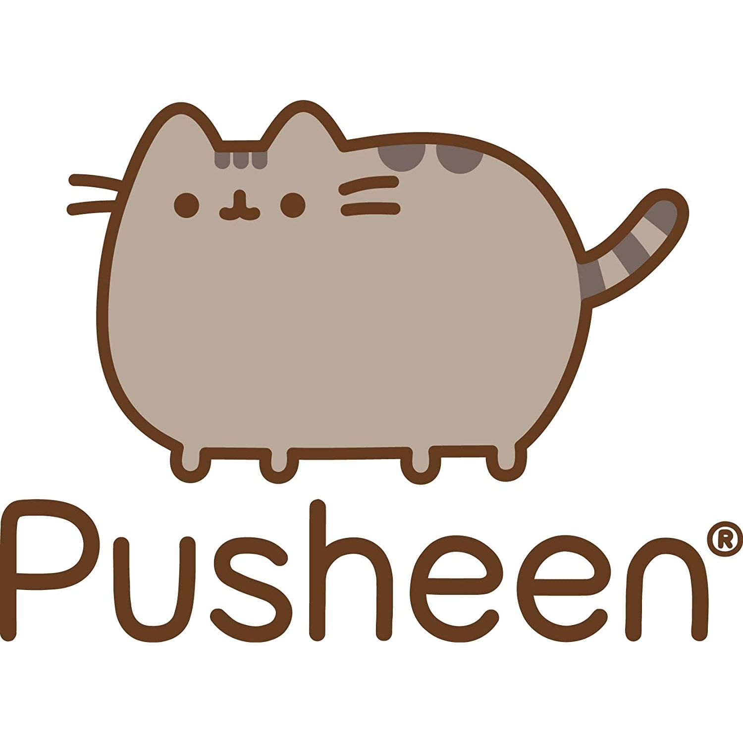 Plus Pisicuta Pusheen 16 Cm Cu Breloc Gogoasa fotografia produsului View 2 L