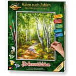 Kit Pictura Pe Numere Schipper Lemn De Mesteacan fotografia produsului