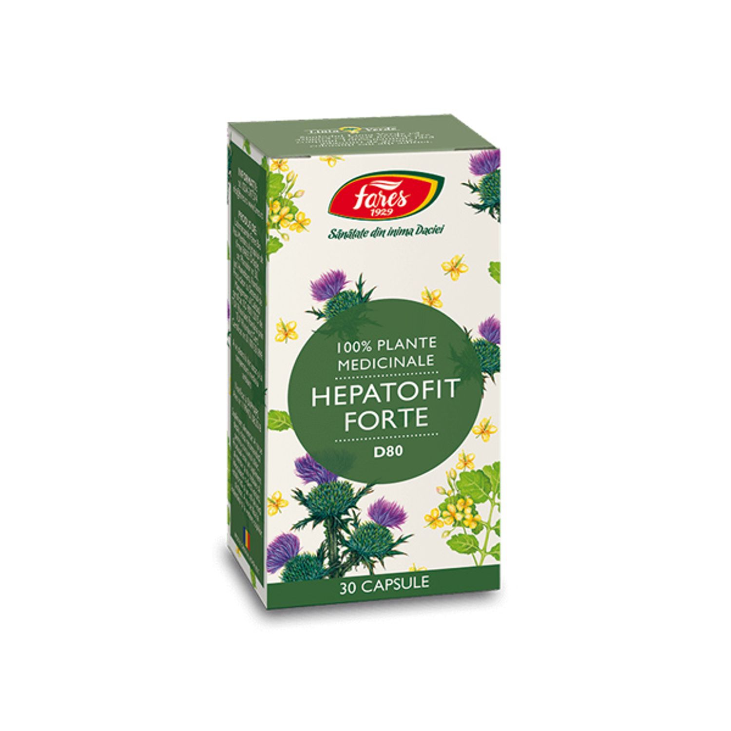 Hepatofit Forte D80, 30 capsule, Fares fotografia produsului