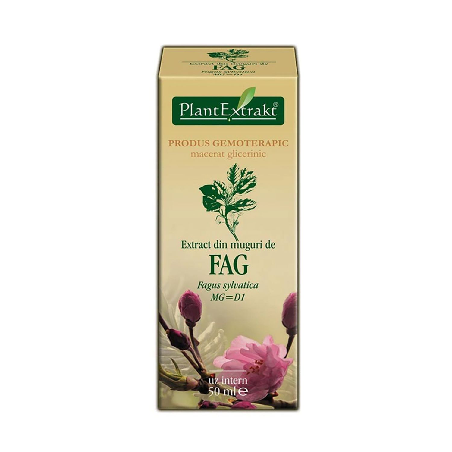Extract din muguri de fag, 50ml, Plant Extrakt fotografia produsului