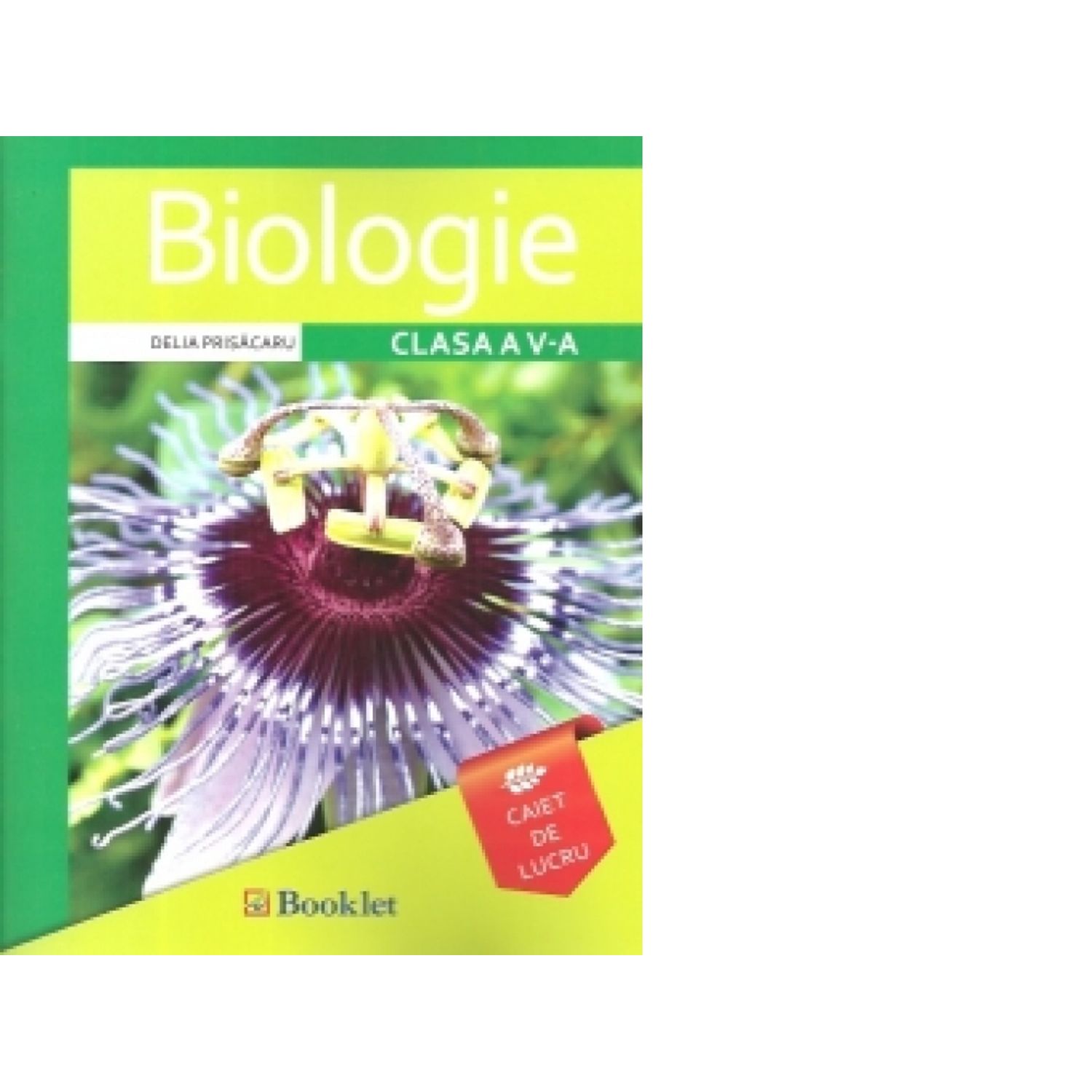 Biologie - caiet de lucru pentru clasa a V-a fotografia produsului