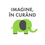 Hiccup, Astrid si pui de dragon fotografia produsului