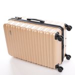 Troler Ella Icon Assign, Champagne, 74.5x49x30 cm fotografia produsului View 5 S