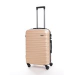 Troler Ella Icon Assign, Champagne, 65.5x43x27 cm fotografia produsului