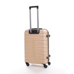 Troler Ella Icon Assign, Champagne, 65.5x43x27 cm fotografia produsului View 2 S