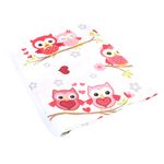 Cearceaf Balticbebe Primavara - Vara Alb, Bumbac, 1 x Cearceaf cu elastic, Bufnita - 90x50 fotografia produsului