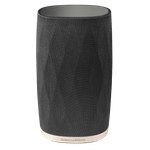 Boxa portabila, Bowers & Wilkins Formation Flex fotografia produsului