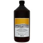 Sampon Davines Natural Tech Nourishing, 1000 ml fotografia produsului