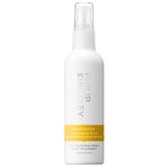 Spray pentru par Philip Kingsley Styling Maximizer Root Boosting, 125 ml fotografia produsului