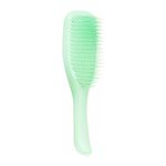 Perie pentru par Tangle Teezer Wet Detangler Mint Karma - Mint fotografia produsului