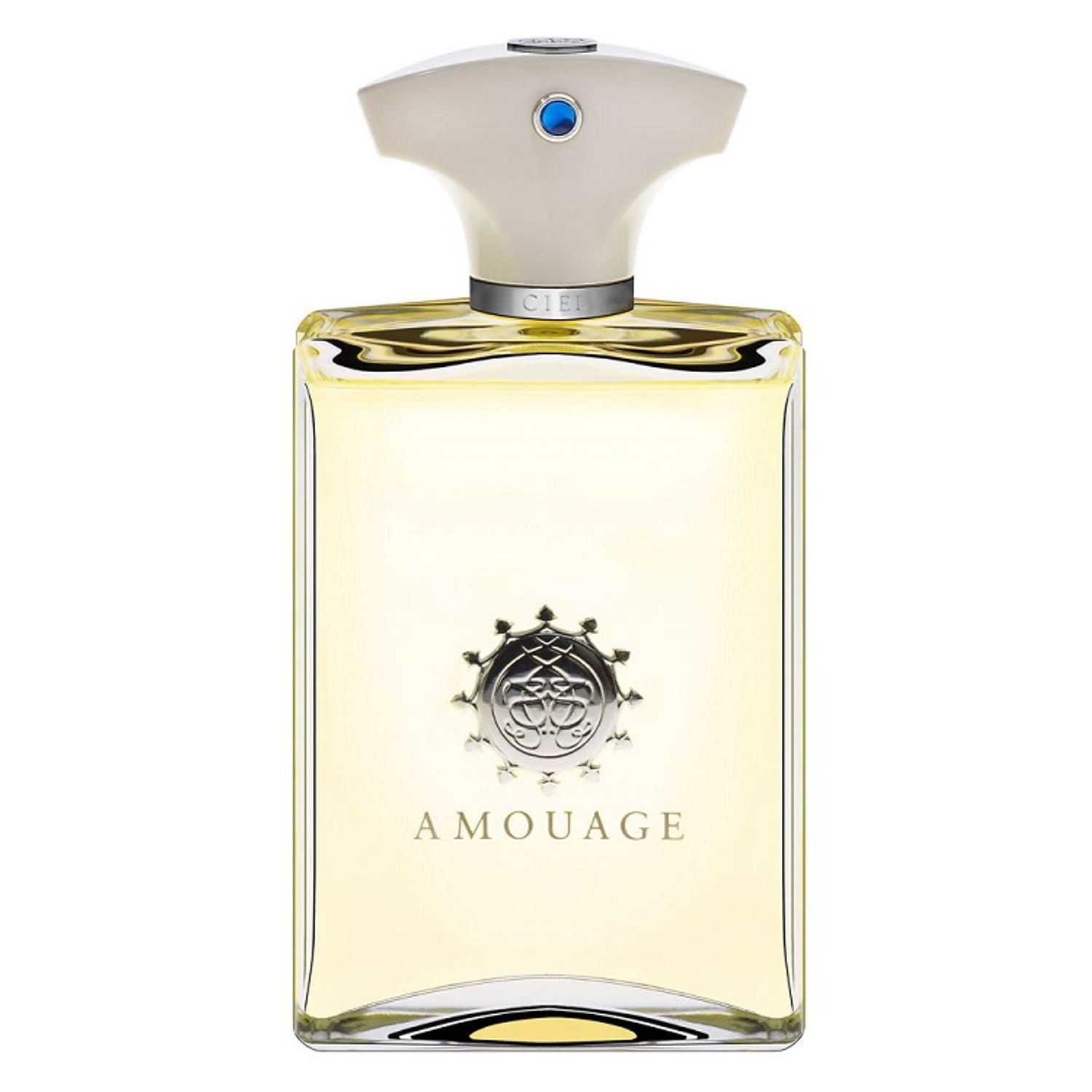 Amouage Dia Men, Barbati, Apa de parfum, 50 ml fotografia produsului