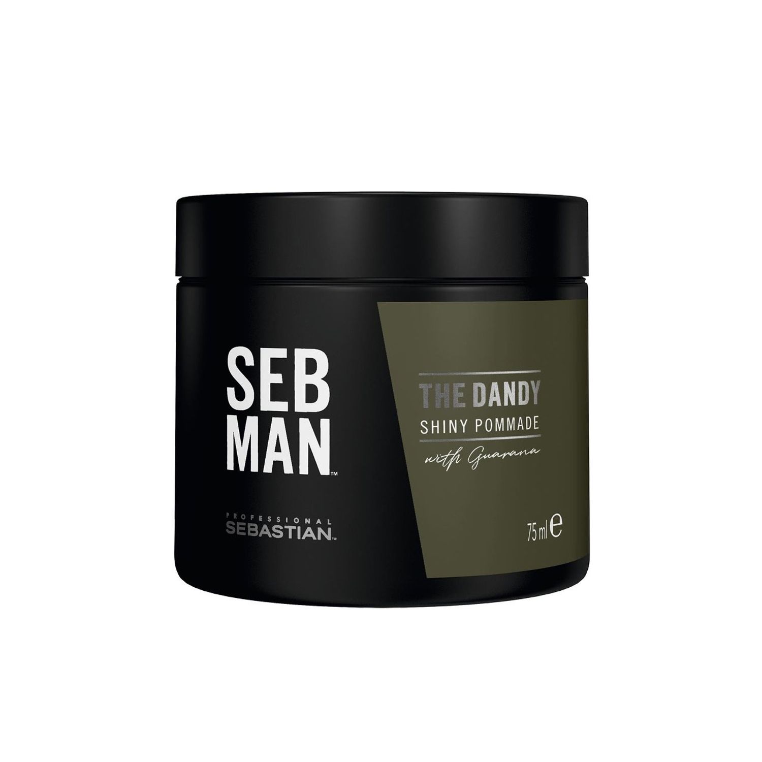 Pomada Sebastian Professional SebMan The Dandy, 75 ml fotografia produsului