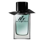 Mr Burberry, Barbati, Apa de toaleta, 150 ml fotografia produsului