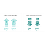 LACTACYD LOTIUNE INTIMA ANTIBACTERIANA X 250 ML fotografia produsului View 2 S