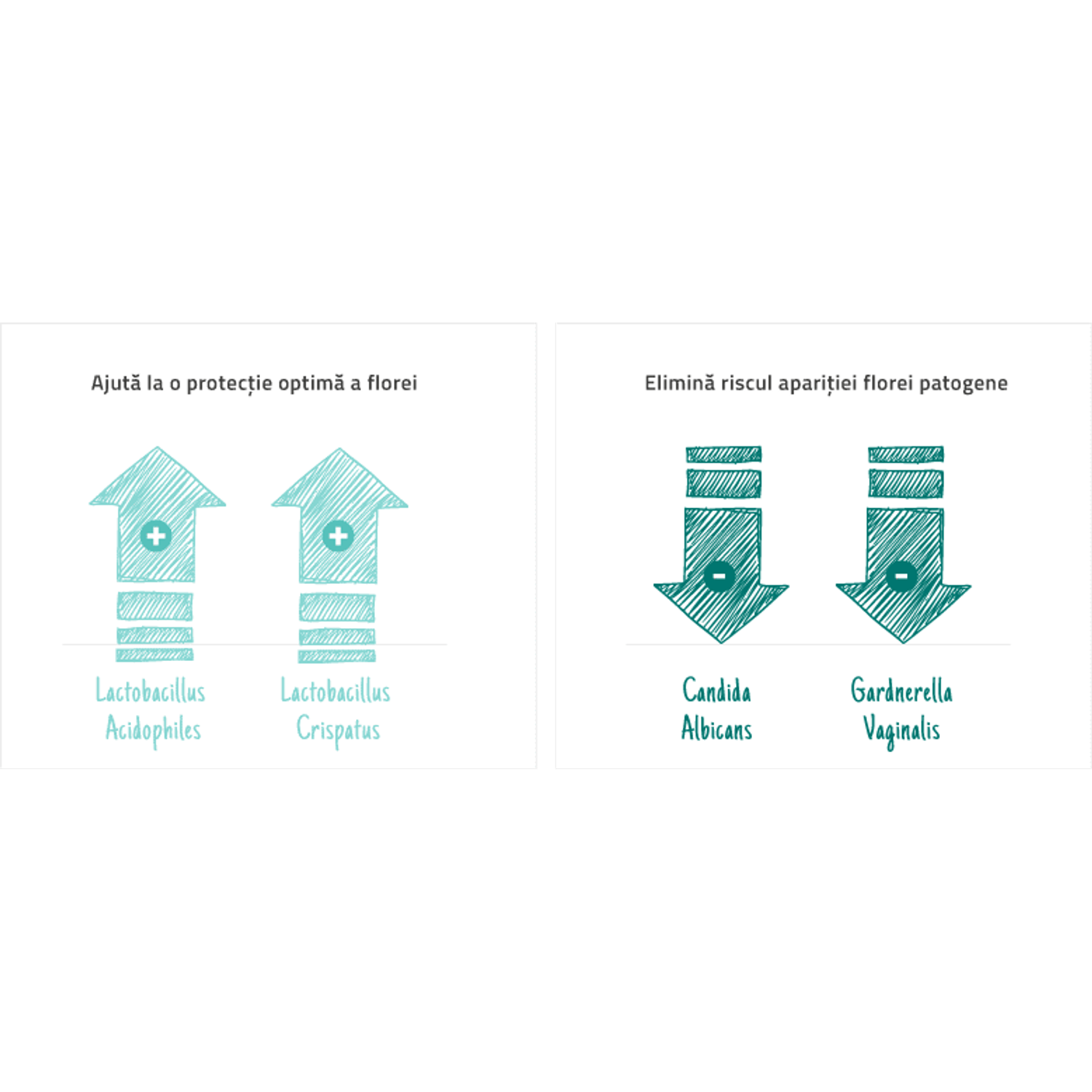 LACTACYD LOTIUNE INTIMA ANTIBACTERIANA X 250 ML fotografia produsului View 2 L