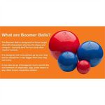 Jucarie model Boomer Ball pentru catei, 10 cm fotografia produsului View 3 S