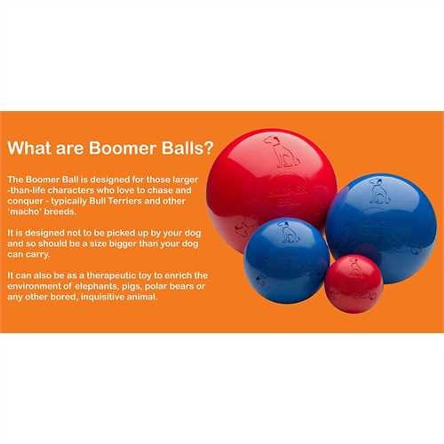 Jucarie model Boomer Ball pentru catei, 10 cm fotografia produsului View 3 L