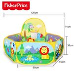 Set de Joaca Interactiv cu Bile Multicolore si Imagini cu Animale fotografia produsului View 2 S