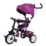 Tricicleta cu sezut reversibil MCT 017 Fresh 360 - Burgundy fotografia produsului