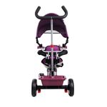Tricicleta cu sezut reversibil MCT 017 Fresh 360 - Burgundy fotografia produsului View 5 S