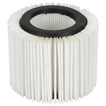 Filtru HEPA pentru aspirator, Strend Pro fotografia produsului
