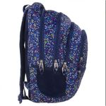 Ghiozdan - rucsac, BACKUP, pentru scoala, model C3, 4 compartimente, 27L fotografia produsului View 2 S