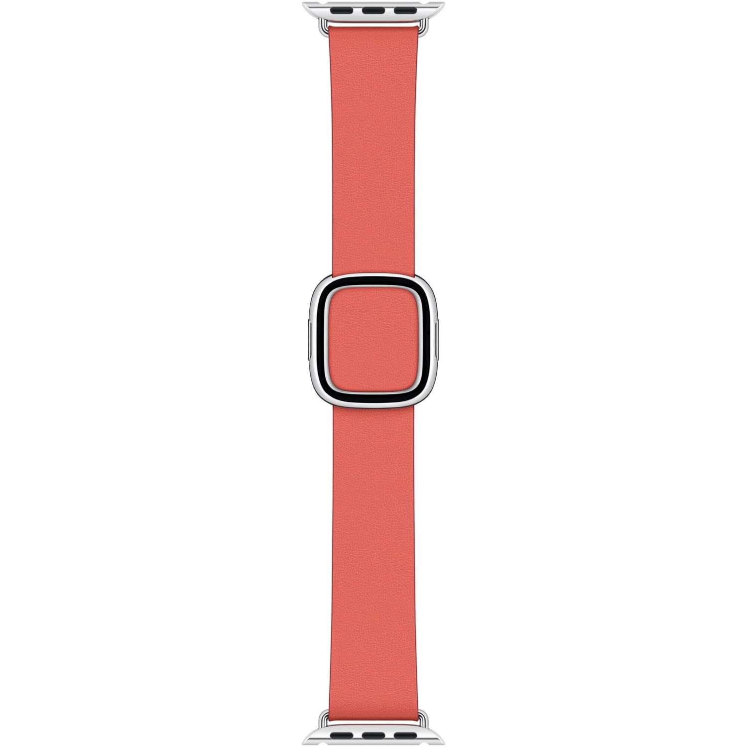 Curea pentru Apple Watch 40mm, Pink Citrus Modern Buckle, Medium fotografia produsului View 2 L