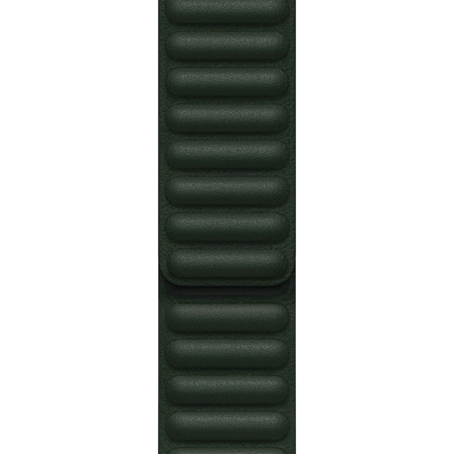 Curea pentru Apple Watch 41mm, Leather Link - M/L, Sequoia Green fotografia produsului
