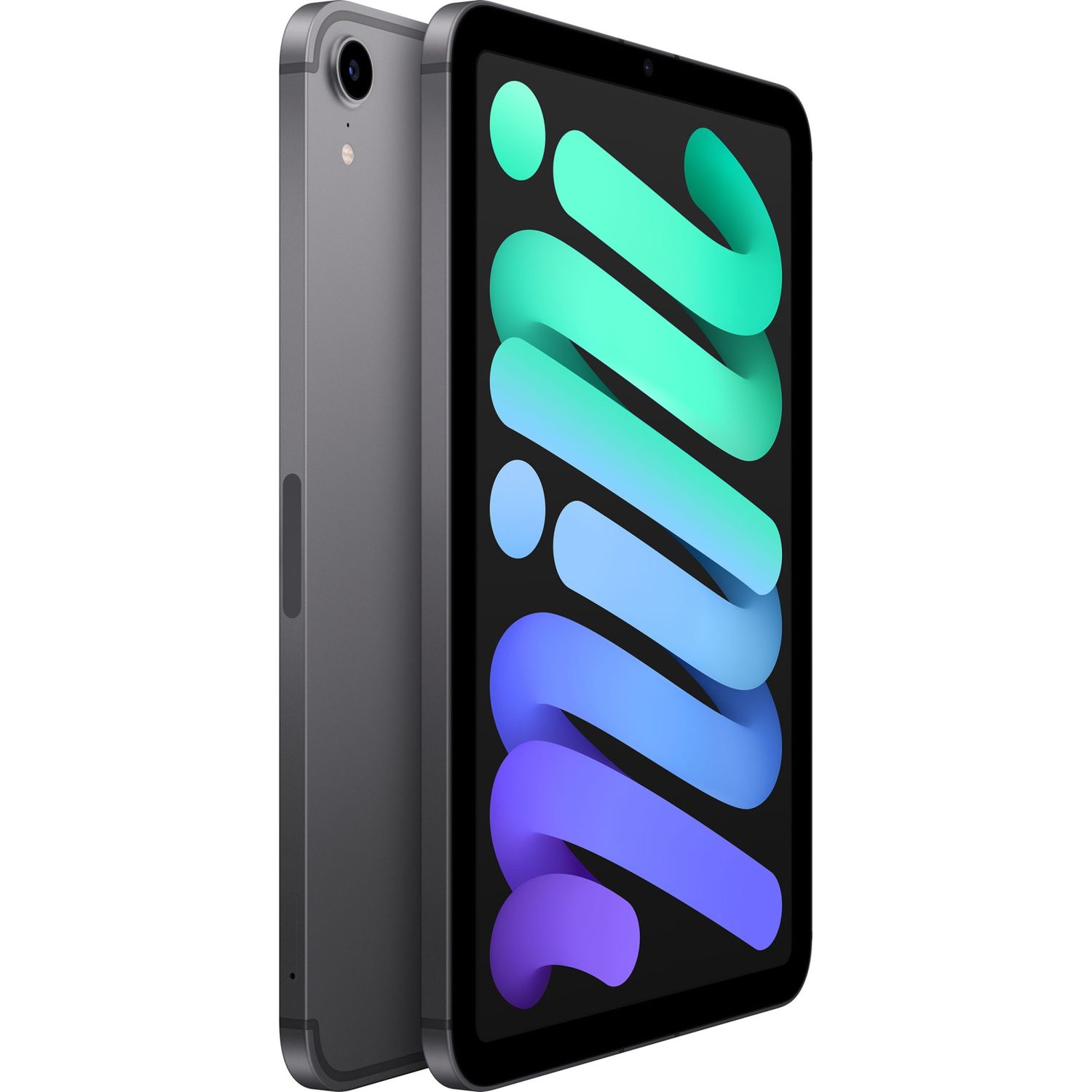 Apple iPad mini 6 (2021), 256GB, Cellular, Space Grey fotografia produsului View 2 L