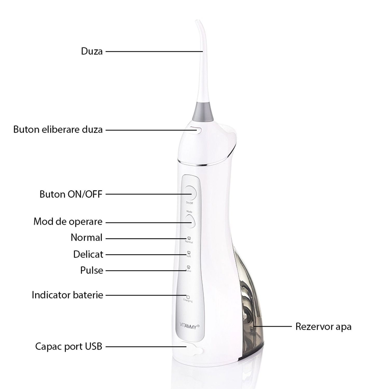Irigator oral/ dus bucal Vitammy Hydra, profesional, 3 moduri de functionare, rezistent la apa, 2 duze, Alb fotografia produsului View 4 L