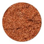 Pigment make-up Flash Bronze 2g fotografia produsului View 3 S