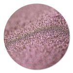 Pigment make-up Mauve Pearl fotografia produsului