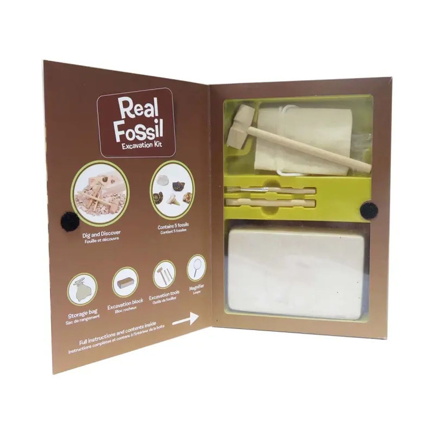 Kit paleontologie - Descopera fosile fotografia produsului View 4 L