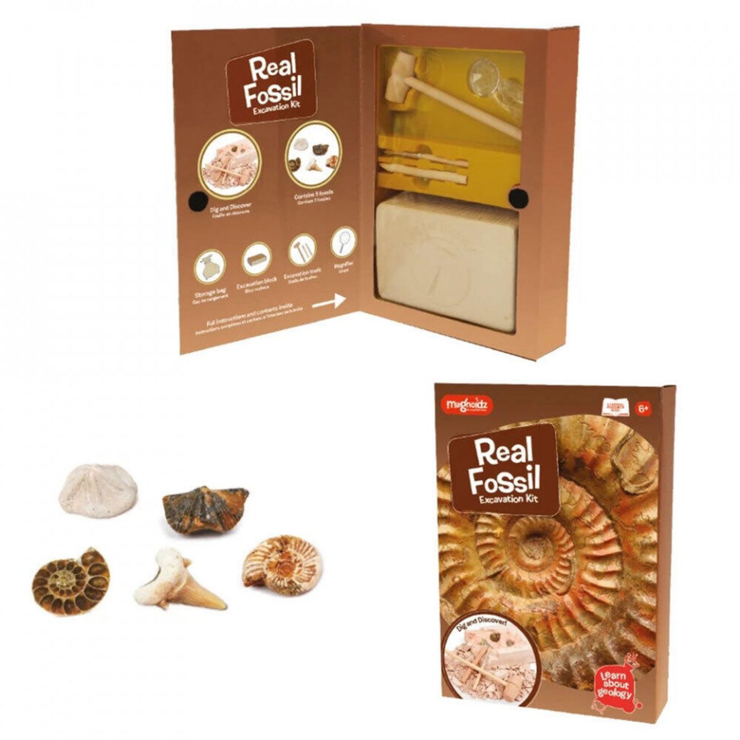 Kit paleontologie - Descopera fosile fotografia produsului View 5 L