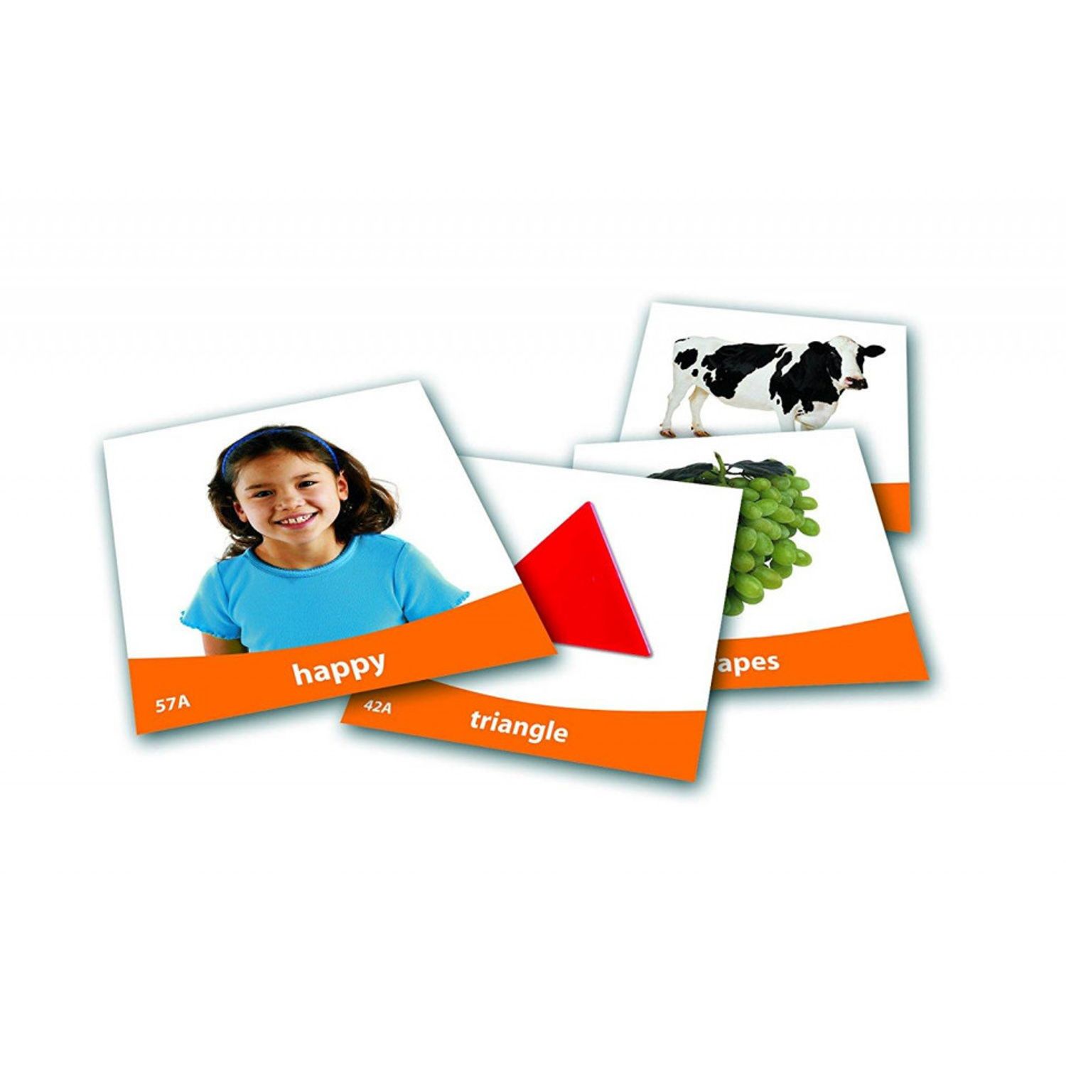 Set imagini vocabularul de baza fotografia produsului View 3 L