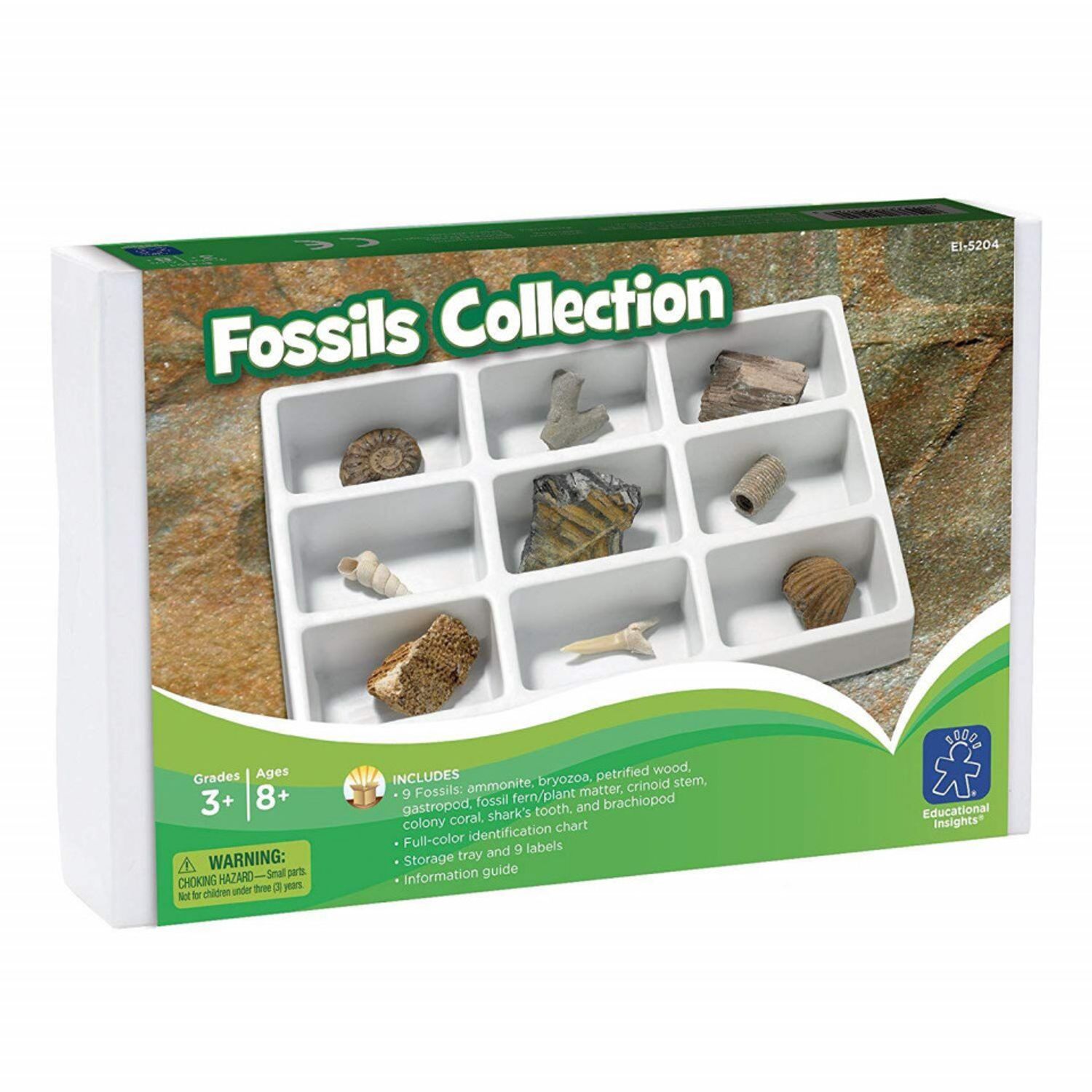 Kit paleontologie - Fosile fotografia produsului