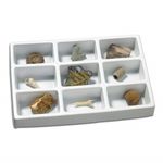Kit paleontologie - Fosile fotografia produsului View 2 S