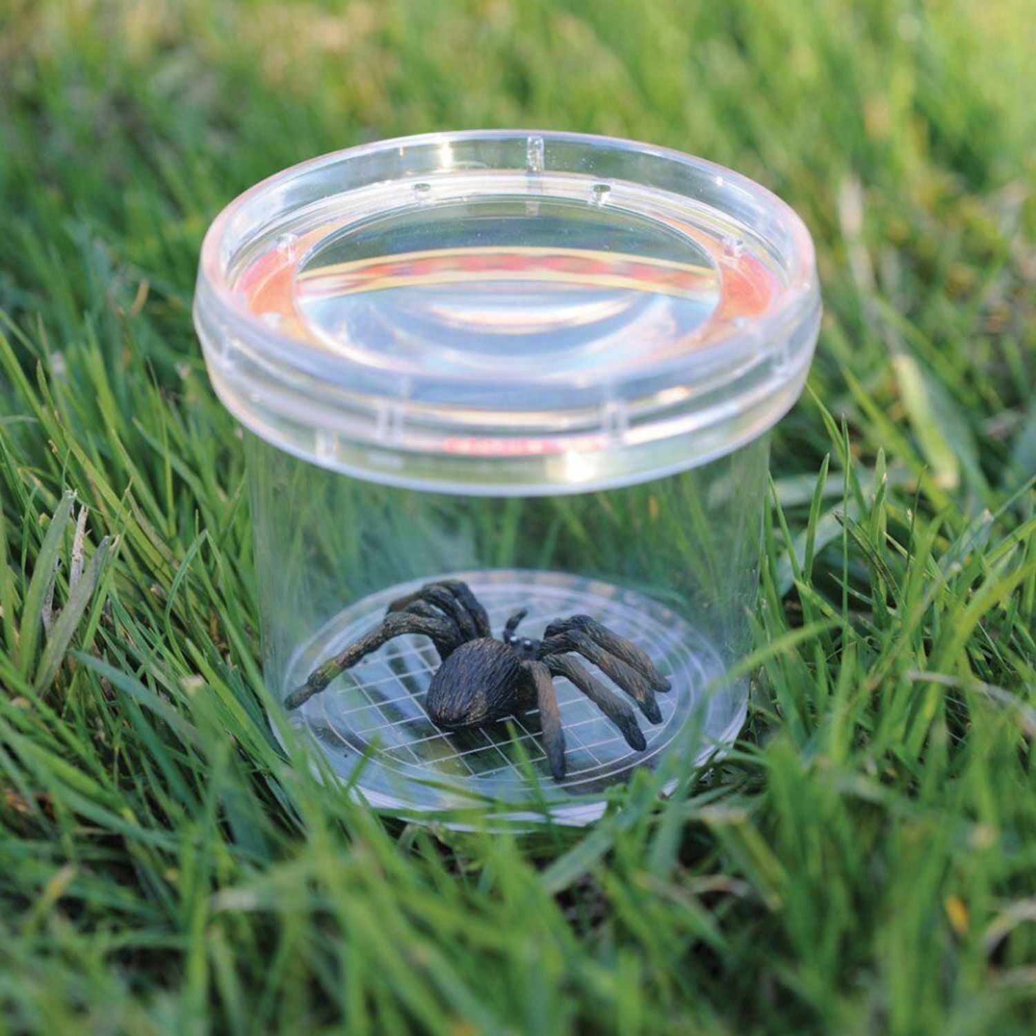 Borcan cu lupa pentru observarea insectelor fotografia produsului View 2 L