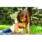 Borcan pentru observarea insectelor fotografia produsului View 2 S