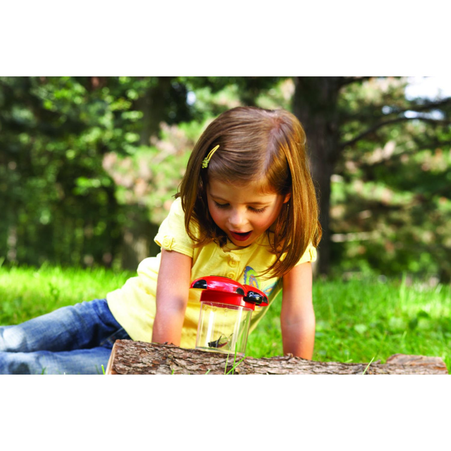 Borcan pentru observarea insectelor fotografia produsului View 2 L