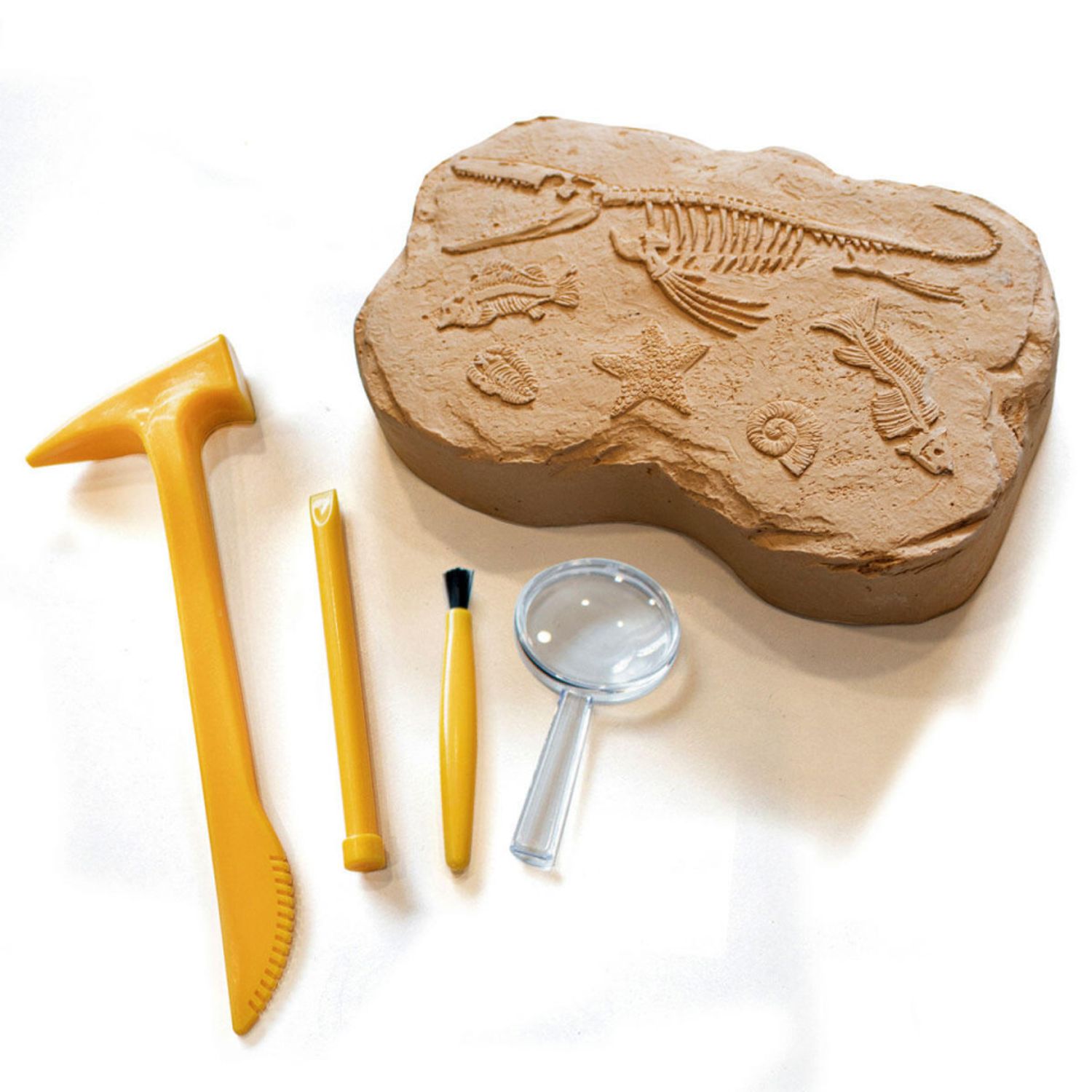 GeoSafari - Kit excavare fosile fotografia produsului View 2 L