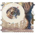 Puzzle Londji, Dino Explorer fotografia produsului View 3 S