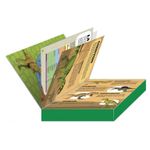 Cunoaste si exploreaza - Lumea dinozaurilor fotografia produsului View 4 S