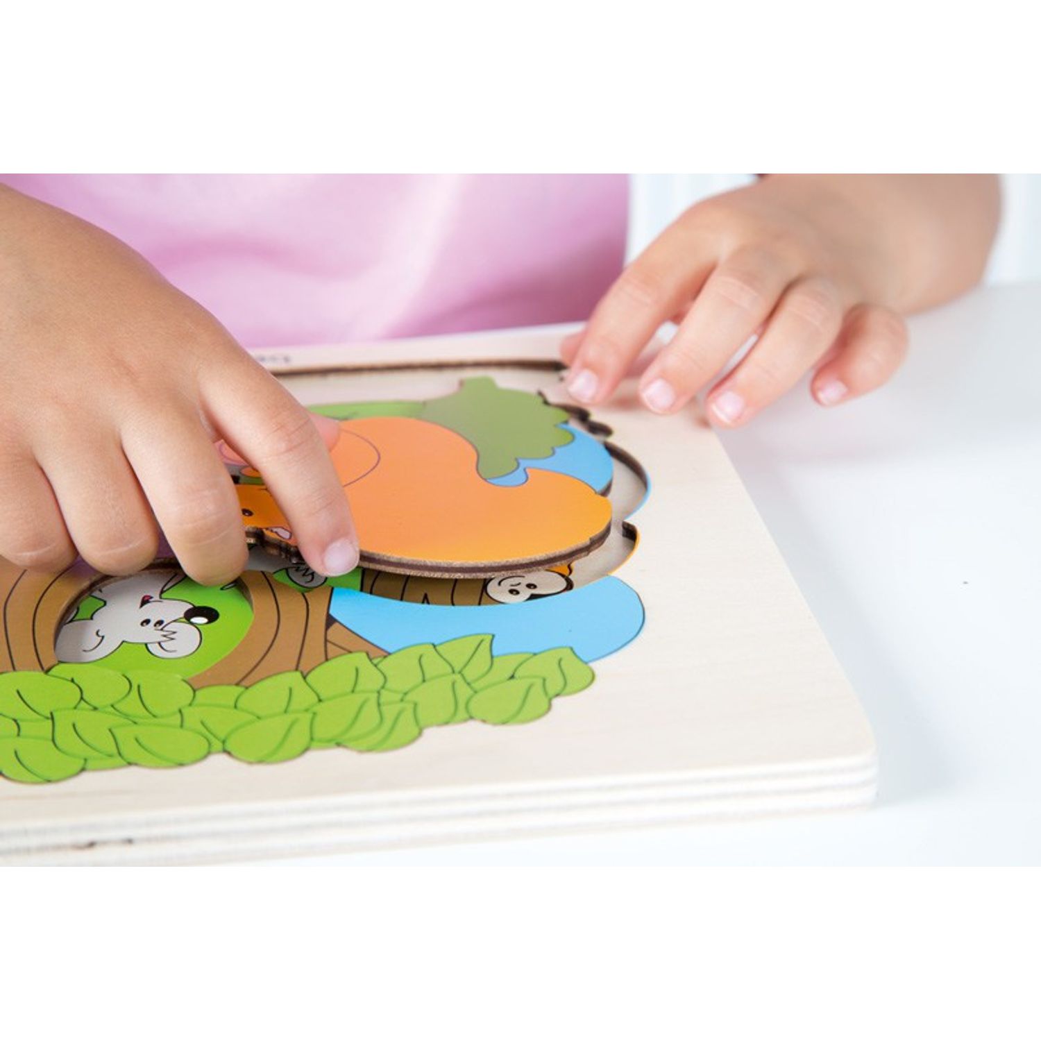 Puzzle Descopera Padurea Beleduc fotografia produsului View 3 L