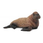 Figurina Pui de Morsa M Collecta fotografia produsului