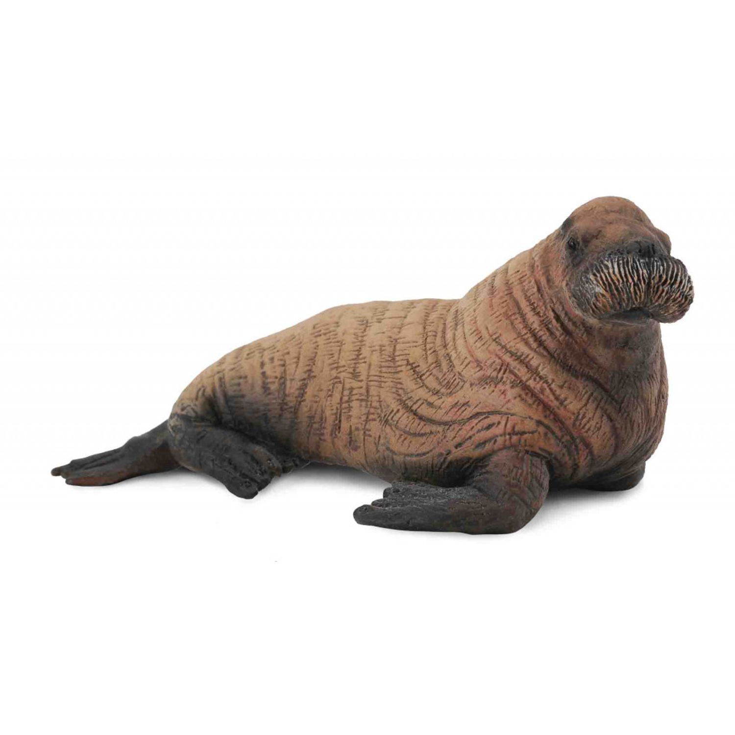 Figurina Pui de Morsa M Collecta fotografia produsului